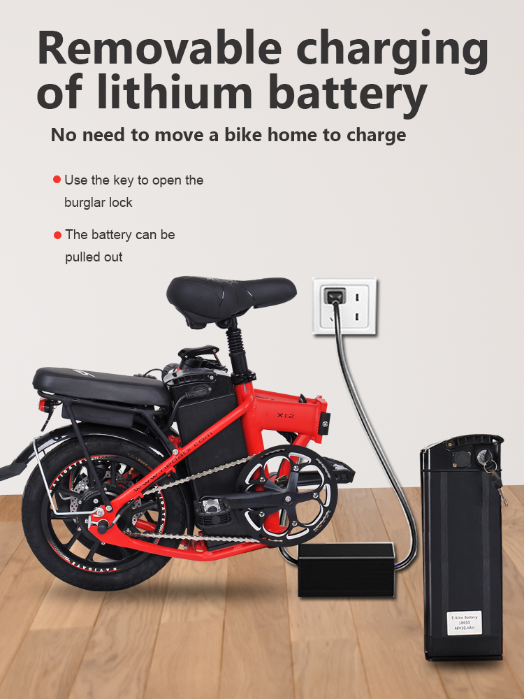 Electric Folding Bike