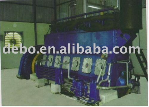 biomass gasification power plant