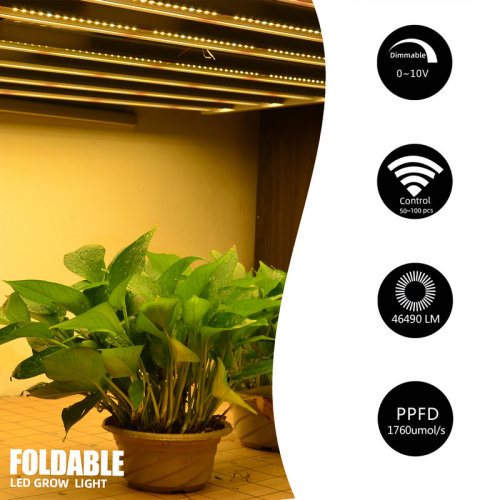 Solas Fás Iomlán Speictrim UV IR 600W LED