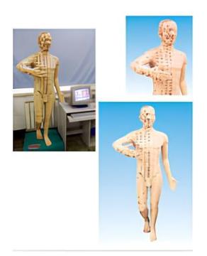 Multimedia Teaching and Clinical Application System Standard acupuncture and moxibustion Human Model