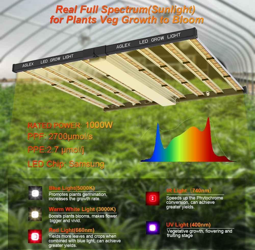 2 kanalen Dubbele schakelaars 1000W LED Grow Light