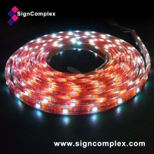IP65 Waterproof Digital SMD LED Strip
