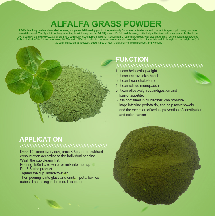 Organic Oat Grass Juice Powder Organic Wheat Grass Powder Organic Oat Grass Powder
