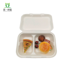 Disposable Sugarcane Bagasse 9''x6'' 2Compartments Container