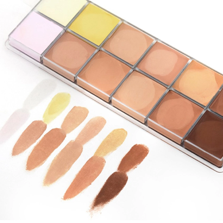 PRO Concealer Makeup 12 Color Full Coverage Concealer Private Label Concealer Pallete Makeup