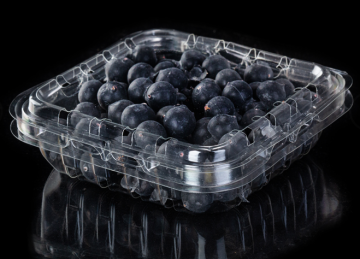 Clear Blueberry Clamshell Plastic Box