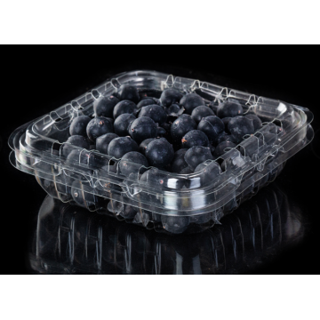 Kotak plastik clamshell blueberry bening