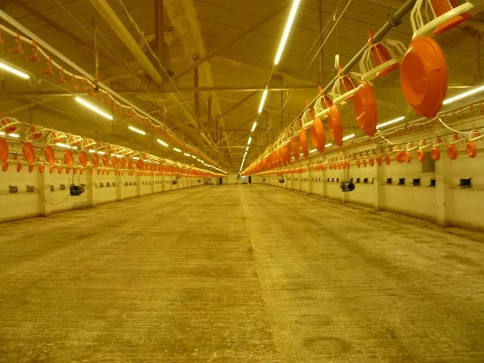 Humidity/Dust Proof Poultry House Lighting for Poultry Farm
