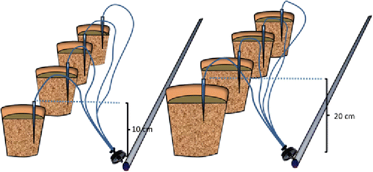 SK-micor irrigation