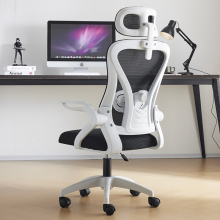 Ergonomic Executive Office Chairs: Swivel Mesh Chairs for Staff