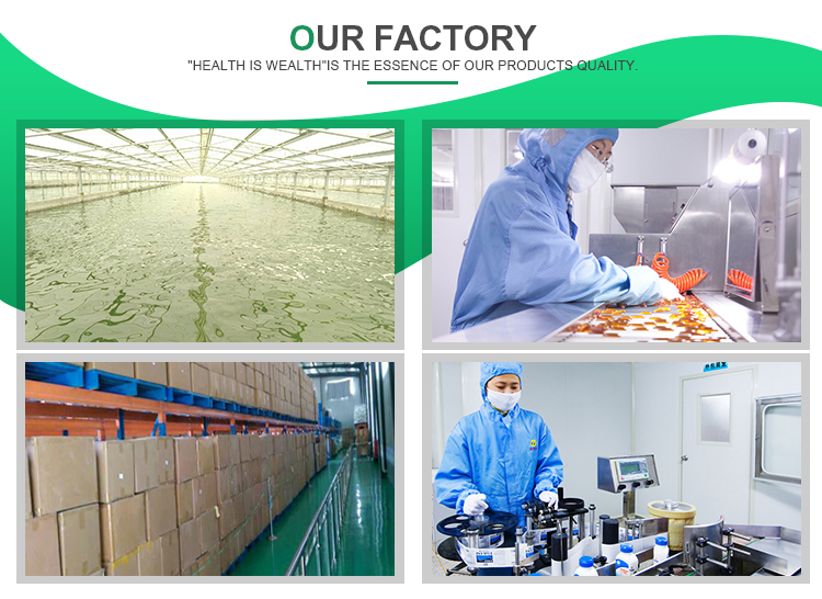 Phycocyanin Powder E18 Price Blue Color Spirulina Phycocyanin Blue Spirulina Powder