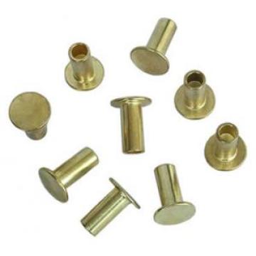 Stainless Steel 304 Rivet