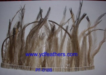 EMU pheasant feather for Carnival Festiva