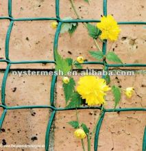 Trellis Netting(factory)