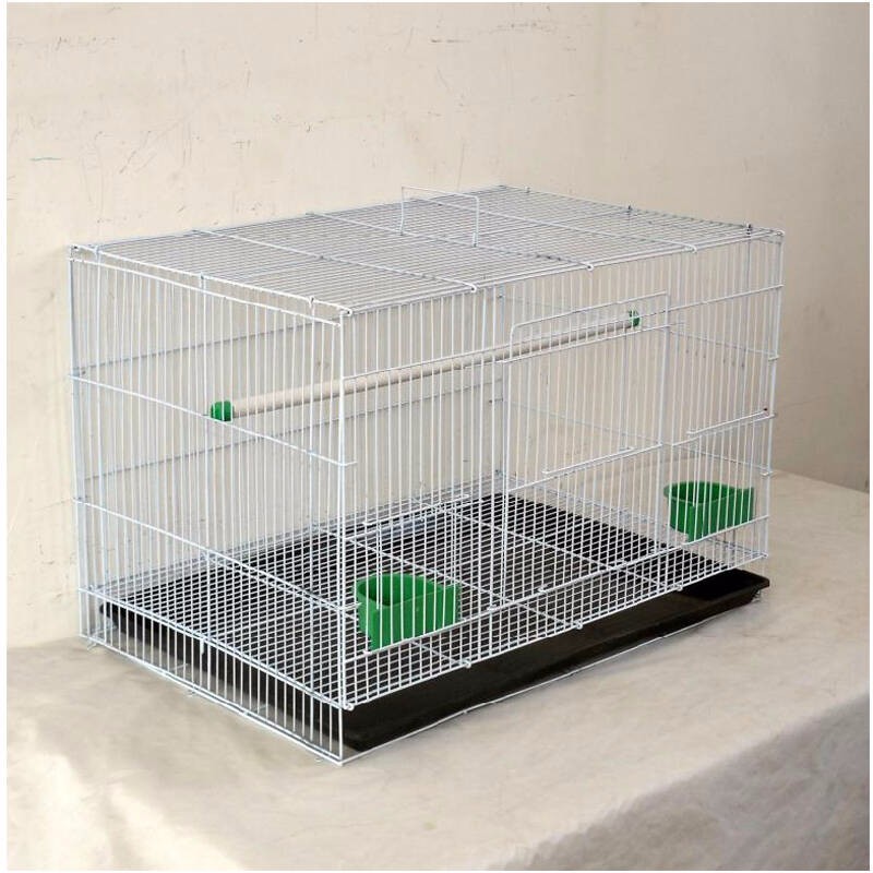 firm and cheap parrot cage for pet poultry