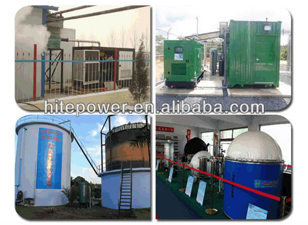 Biogas Natural Gas Methane Gas generators with heat recovery system