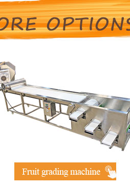 Automatic Lemon Squeezer Passion Fruit Processing Natural Fruit Juice Making Machine