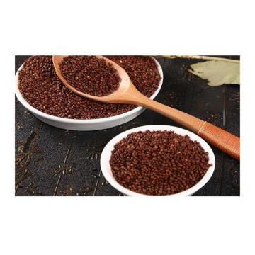 High Quality Perilla Seeds