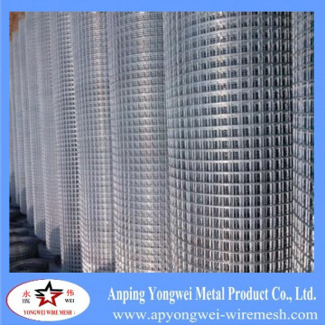 made in china Alibaba hot sale welded wire mesh aviary mesh/wire mesh in dubai