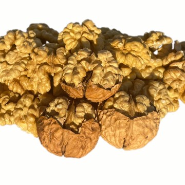 High Mountain Walnut Fruit