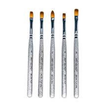 5 pcs Silver Nail brush Set