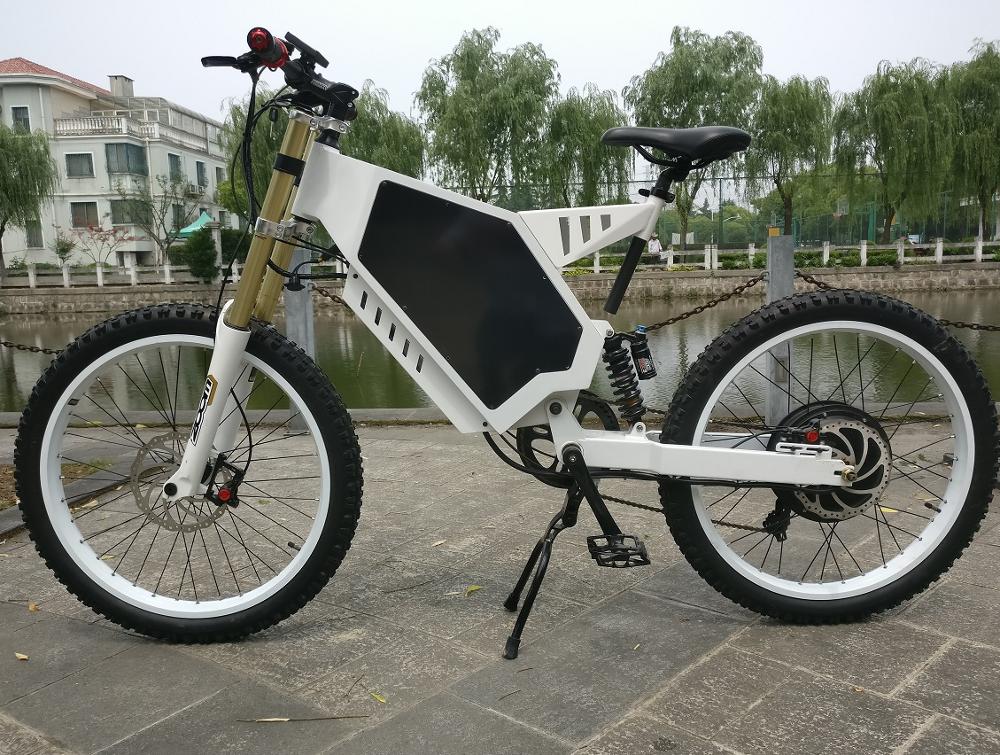 Fat Tire Electric Bike