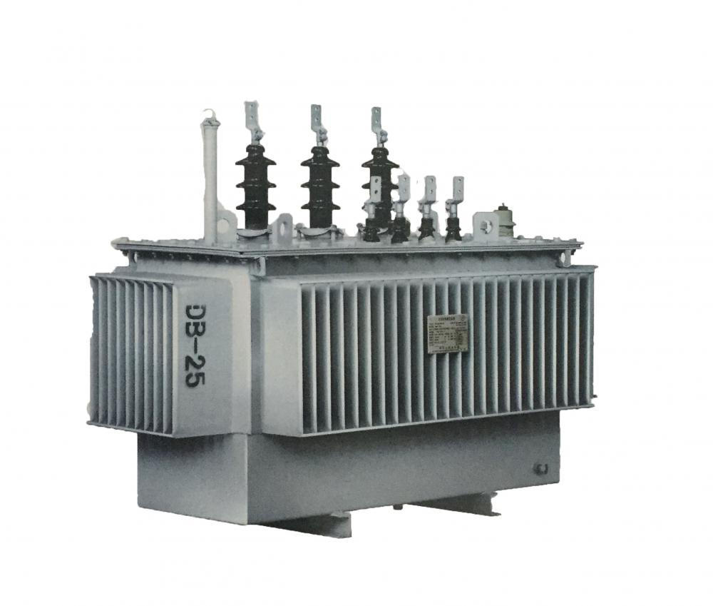 10kV Distribution Transformer