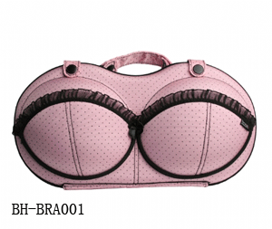 Eva bra case