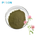 Red Clover extract 2.5%