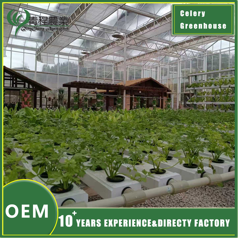 kereviz serası yapı tasarımı celery greenhouse structure design