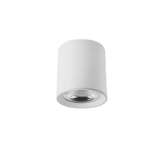 LED ceiling light with high luminous efficiency