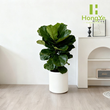 Straight-Sided Flowerpot for Indoor Plants