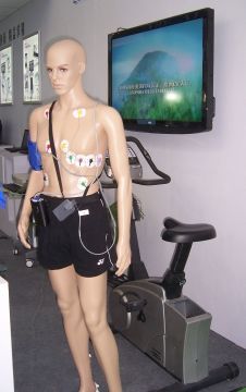 Ergometer Exercise Stress Test ECG