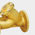 Brass flange filter application