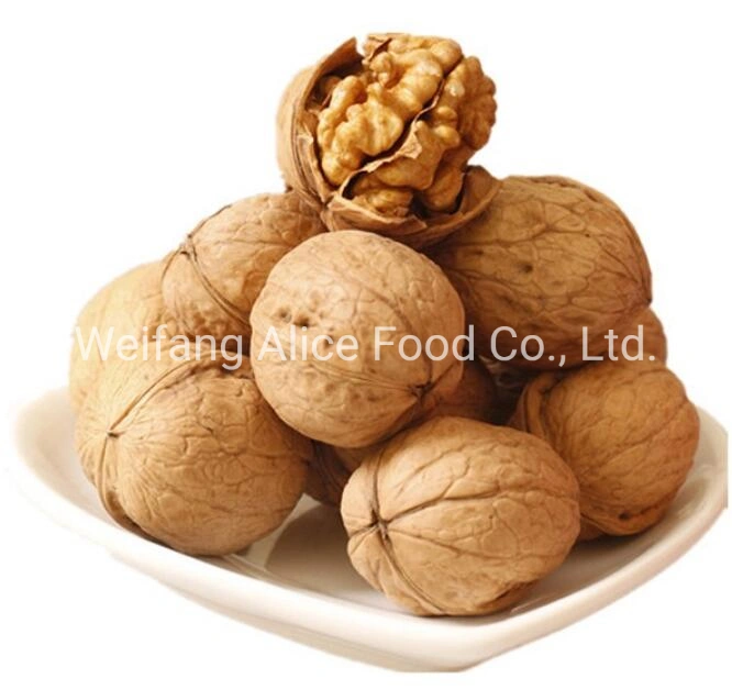 Low Price Wholesale Chinese Paper Shell Walnut