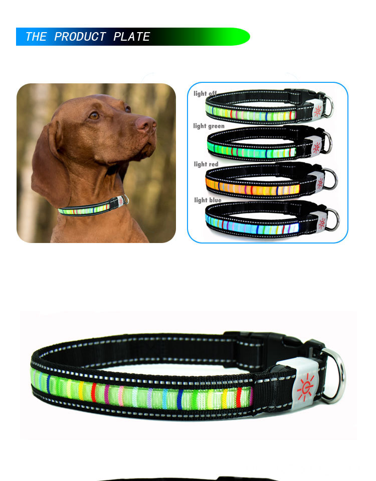 Led Light Up Flashing Light Dog Collar And Leash	