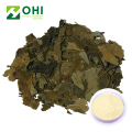 Sweet Tea Extracte Rubusoside