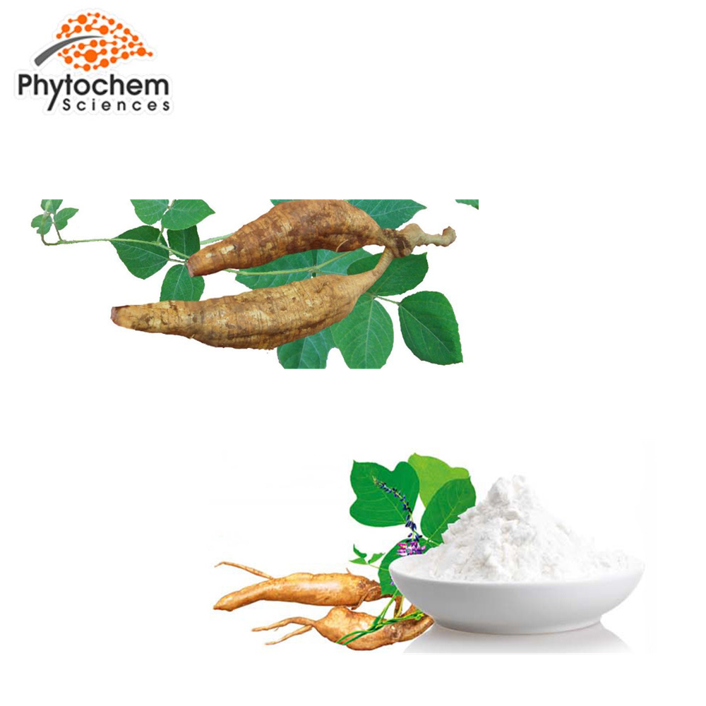 Best sales pueraria mirifica kudzu root extract powder