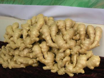 High Quality and Natural Fresh Ginger/Dried Ginger/Dried Ginger Slice