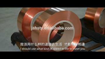 earthing copper strip in coil
