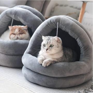 Kucing tidur untuk indoor