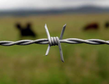 Hot dip galvanized plastic coated barbed wire rope