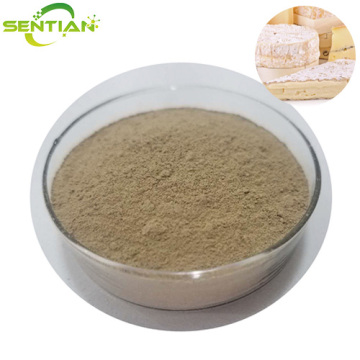 Microbial Rennet for cheese kluyveramises chymosin Rennet