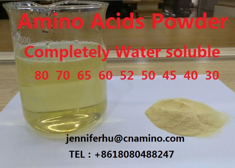 Amino Acid Powder Has Contacts