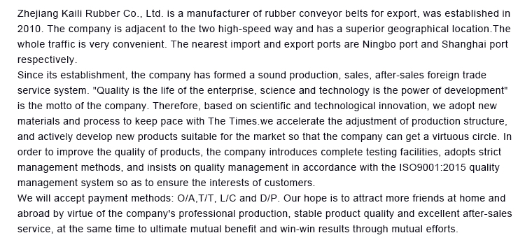 NYLON CONVEYOR BELT ,Conveyor Belt in Nylon,Quality Nylon Rubber belt Made In China