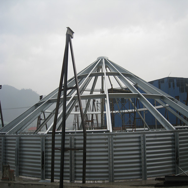 techo del silo silo roof
