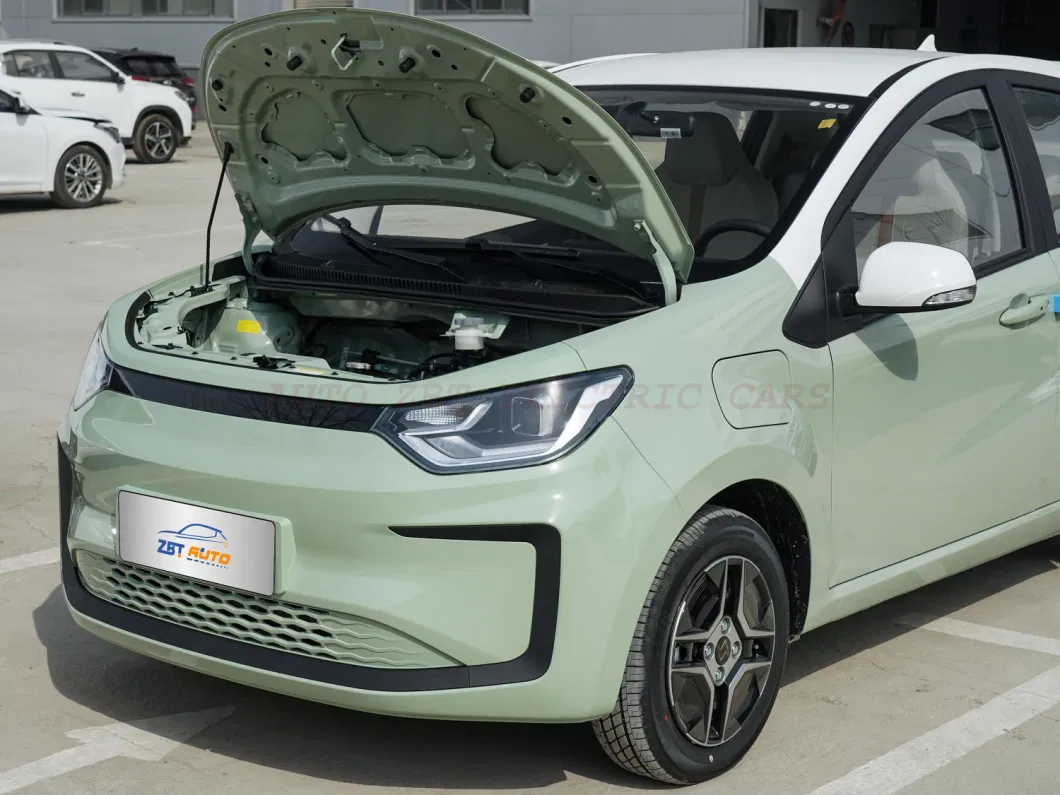 2023 Year New Model Green EV 306km Range New Energy Mini SUV Electric Minicar 5 Doors 4 Seats Car with Cruise Control