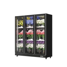 Stylish Single-Temperature Refrigerator for Flower Preservation