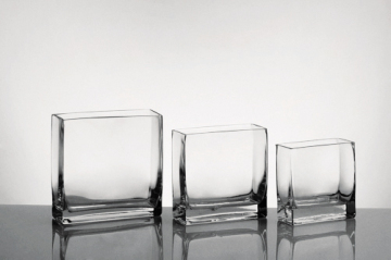 wholesale for glass vase, cube vase, manufacture and supplier for flower vase, container