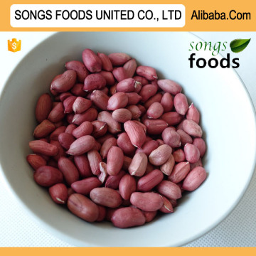Songs Foods Peanut Kernels Export To Egypt